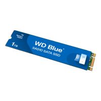 WD Blue SA510 Internal WDS100T3B0B SSD m 2 2