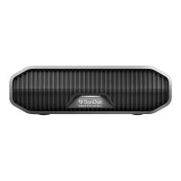 SanDisk Professional - Festplatte - Enterprise - 22 TB - extern (Stationär)