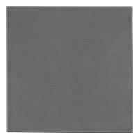 Thermal Grizzly Minus Pad extreme 2, Thermalpolster, Grau, 100 mm, 100 mm, 1,5 mm, 58 g