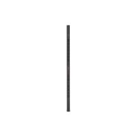 APC Basic Rack PDU Zero U - Stromverteiler (Rack - einbaufähig)
