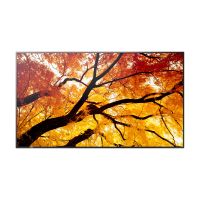 Sharp MultiSync PN-M502 - 127 cm (50") Diagonalklasse (125.7 cm (49.5")