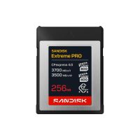 SanDisk Extreme PRO - Flash-Speicherkarte - 256 GB