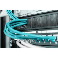 DIGITUS Kabelbürstenleiste für 483 mm (19")-Schränke