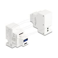 Delock Snap-in-Modul (Keystone) - PD 20 W