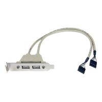 StarTech.com 2 Port USB 2.0 Low Profile Slotblech - Buchse - USB-Konsole - USB (W)