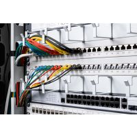 DIGITUS CAT 6 U-UTP Slim Patchkabel, 0,3 m, Grau, 10 Stück