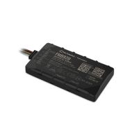 Teltonika FMB920, Auto, Schwarz, 850,900,1800,1900 MHz, IP54, 33 Kanäle, 0,128 GB