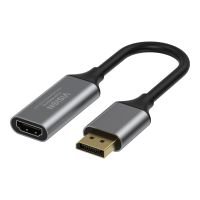 TD SYNNEX VISION - Videoadapter - DisplayPort männlich