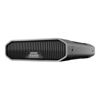 SanDisk Professional - Festplatte - Enterprise - 12 TB - extern (Stationär)