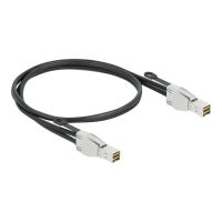 Delock Externes SAS-Kabel - SAS 32Gbit/s - Mini SAS HD (SFF-8674)