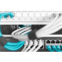 DIGITUS Kabelbürstenleiste für 483 mm (19")-Schränke