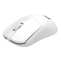 SANDBERG Saver - Maus - rechts- und linkshändig - optisch - 4 Tasten - kabellos - 2.4 GHz - kabelloser Empfänger (USB)
