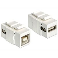 Delock Modularer Einschub (Kopplung) - USB-Typ