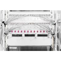 DIGITUS DN-19 BPN-02 - Blindabdeckung - Grau, RAL 7035 - 2U - 48.3 cm (19")