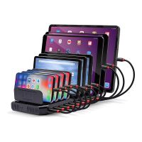 Lindy Netzteil - 2.4 A - 10 Ausgabeanschlussstellen (USB)