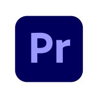 Adobe VIP GOV 3YC Premiere Pro CC MLP 3M ML Team Licensing Subscription New Level - Lizenz - Regierungs/Government Lizenz