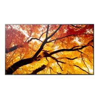 Sharp MultiSync PN-M552 - 138.8 cm (55") Diagonalklasse M2 Series LCD-Display mit LED-Hintergrundbeleuchtung - Digital Signage - 4K UHD (2160p)