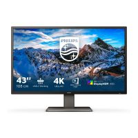 Philips 439P1 - LED-Monitor - 108 cm (43") -