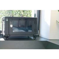 DIGITUS Mobiler Ladeschrank für 16 Tablets bis 13 Zoll, USB- C