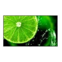 NEC MultiSync E988 - 249 cm (98") Diagonalklasse (247.7 cm (97.5")