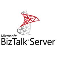 Microsoft BizTalk Server Branch Edition - Software