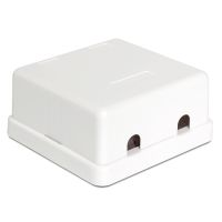 Delock Keystone Surface Mounted Box - Gehäuse