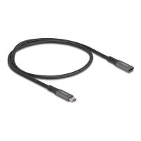 Delock USB-Verlängerungskabel - USB-C (M)