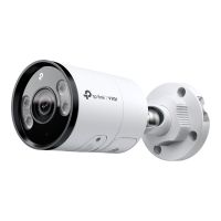 TP-LINK VIGI InSight S355 V1 - Netzwerk-Überwachungskamera - Kugel - Außenbereich - wasserfest - Farbe (Tag&Nacht)