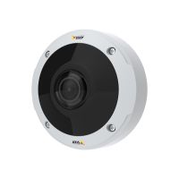 Axis M3058-PLVE Network Camera - Netzwerk-Überwachungskamera - Kuppel - Außenbereich - staubdicht/wasserdicht/vandalismusresistent - Farbe (Tag&Nacht)