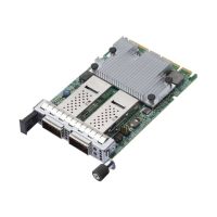BROADCOM NetXtreme E-Series N2100G - Netzwerkadapter