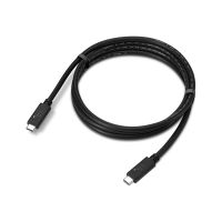 Lenovo USB-Kabel - USB-C (M) zu USB-C (M)