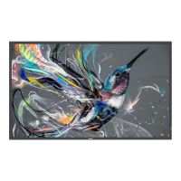 Philips 86BDL3511Q - 218 cm (86") Diagonalklasse (217.4 cm (85.6")
