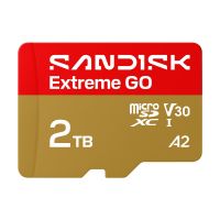 SanDisk Extreme Go - Flash-Speicherkarte - 2