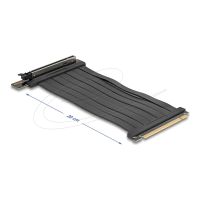 Delock Riser Card