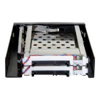 Delock Laufwerksschachtadapter
