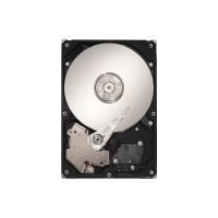 Seagate DB35.3 Series ST3250820SCE - Festplatte - 250 GB - intern - 3.5" (8.9 cm)