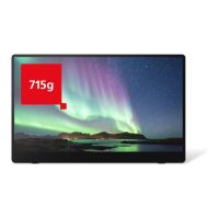 Fsas Technologies Ricoh 150BW - OLED-Monitor - 39.6 cm (15.6") (16" sichtbar)