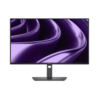 Dell Pro P P2426HE - Ohne Standfuß - LED-Monitor - 61 cm (24")