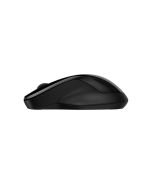 HP 250 - Maus - optisch - 3 Tasten - kabellos