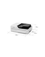 Epson WorkForce DS-1730 - Dokumentenscanner - Duplex - 215.9 x 3048 mm - 1200 dpi x 1200 dpi - bis zu 30 Seiten/Min. (einfarbig)