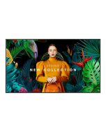 Samsung QM50C - 125 cm (50") Diagonalklasse QMC Series LCD-Display mit LED-Hintergrundbeleuchtung - Digital Signage - Tizen OS - 4K UHD (2160p)