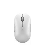 Lenovo 700 - Maus - Multi-Gerät - rechts- und linkshändig - optisch - 6 Tasten - kabellos - 2.4 GHz, Bluetooth 5.3 - kabelloser Empfänger (USB)