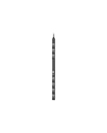 APC NetShelter Rack PDU Advanced - Gen 2 - Stromverteilungseinheit (Rack - einbaufähig)