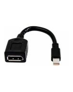 HP DisplayPort-Adapter - Mini DisplayPort (M)