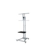 Neomounts Mobile Monitor/TV Floor Stand PLASMA-M1800E - Aufstellung - für Flachbildschirm - Silber - Bildschirmgröße: 68.6-152.4 cm (27"-60")
