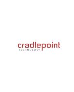 CradlePoint NetCloud Ruggedized IoT Advanced Plan - Abonnement-Lizenz (1 Jahr)