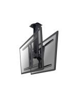 Neomounts PLASMA-C100D - Halterung - Voll beweglich - für 2 LCD-/Plasma-Konsolen - Schwarz - Bildschirmgröße: 93.9-191 cm (37"-75")