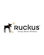 Ruckus Partner WatchDog Premium Support - Serviceerweiterung