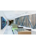 Peerless Ultra Thin Flat Video Wall Mount DS-VW650 - Befestigungskit (Wandplatte, Wandmontage, Tragschienen)