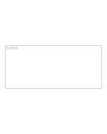 Seiko Instruments SLP-ENTL - Nicht klebend - weiß - 57 x 89 mm 250 Karte(n) (1 Rolle(n)